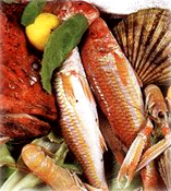 Fish products fresh food and frozen fish Italian food manufacturing, Italian food suppliers, Italy agriculture products, olive oil, pasta, maccaroni, penne, spaghetti, farfalle, milk, frozen food, prosciutto, flour, bread, pizza... wholesale Italian vendors and beverage manufacturing companies to the USA agriculture distribution vendors and mall market industry.. Share your industrial agriculture products manufacturing with the worldwide distribution market... Italian agriculture manufacturing suppliers industry to the wholesale industrial agriculture distribution in China, United States, Italy, Germany, England, Ireland, Japan, Taiwan, Saudi Arabia, UAE, Brazil, Argentina, Peru, Venezuela, Mexico, Uruguay, Bolivia... Italian Business Guide your agriculture manufacturing suppliers source...